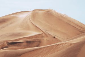 keith hardy 217164 unsplash